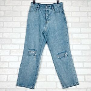 PacSun High Rise Straight Ripped '90s‎ Jeans, Size 29, 5 Button Down